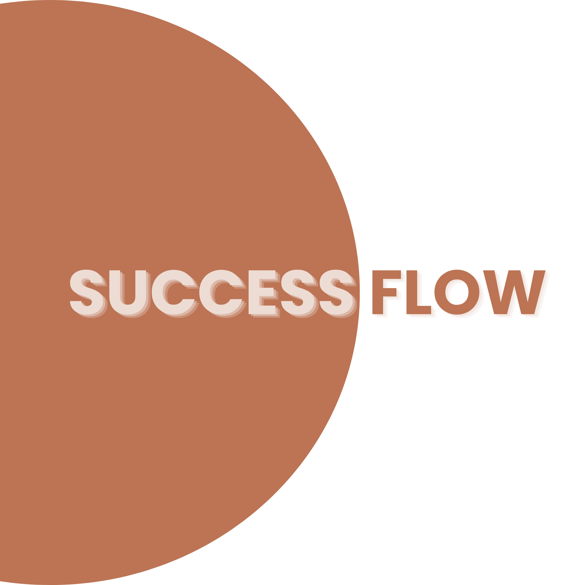 Success Flow